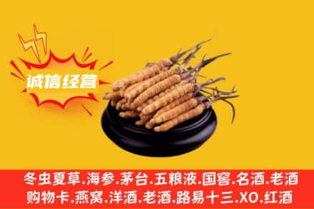 新干县回收冬虫夏草